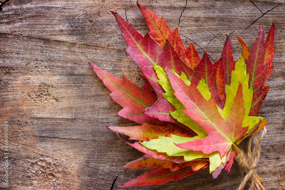 Obraz premium Autumn bouquet of leaves on wooden background