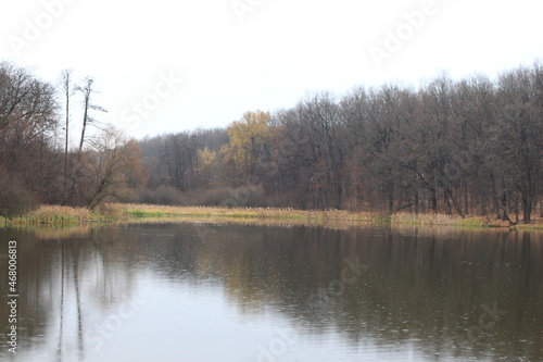 Autumn forest is reflected in the forest lake. It's raining, the leaves are turning yellow