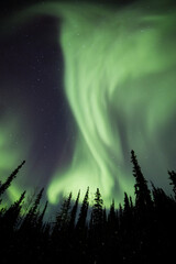 Sierkussen Pistachekleur Noorderlicht boven Alaska  © David W Shaw