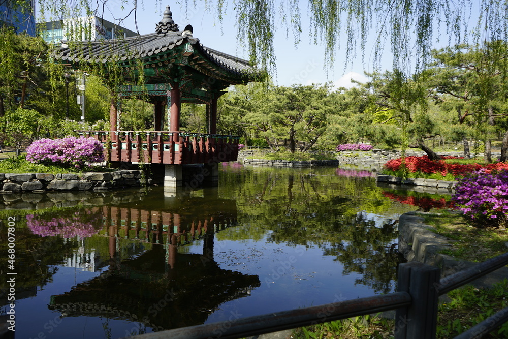 Fototapeta premium 여의도 공원에는 호수와 전통정각이 있는 풍경입니다.