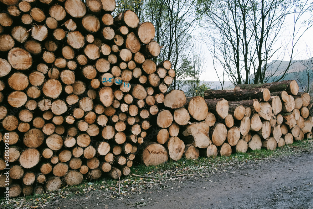 Cut down trees - wooden timber arranged in a neat pile, environment and ecology issues.