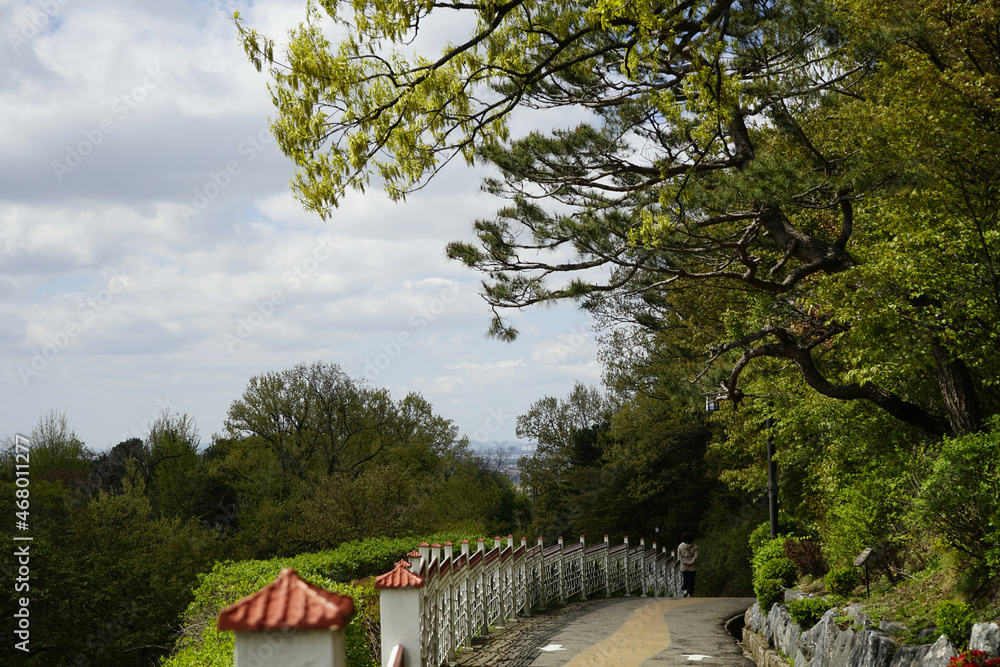 Fototapeta premium 행주산성에서 바라보이는 한강풍경과 정원이 있습니다.