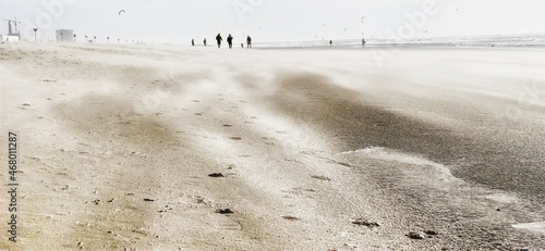 sand dunes on the beach