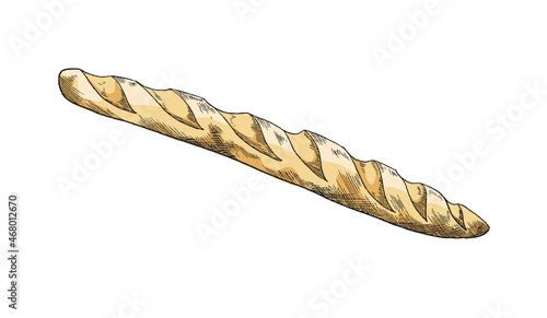 Traditional French baguette with crispy crust in color sketch vector