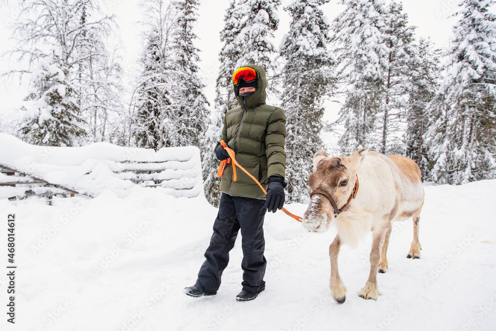 Teenage boy and reindeer in Lapland