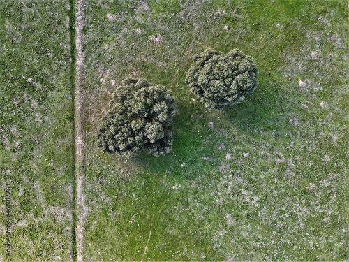 Imagen aerea de paisaje rural con arboles