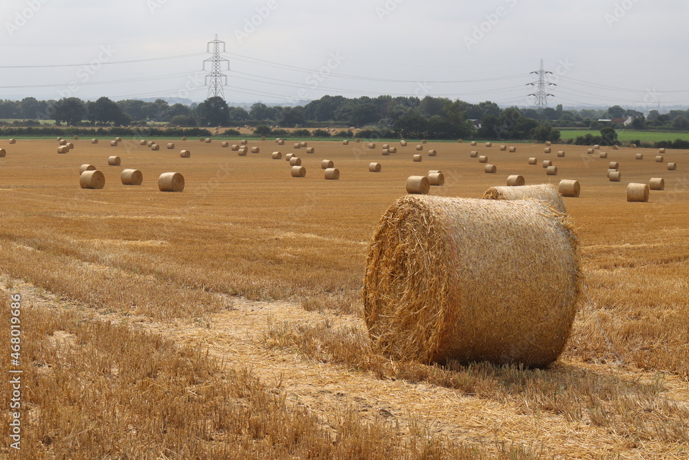 fields with straw bales in the Lincolnshire Nottinghamshire countryside