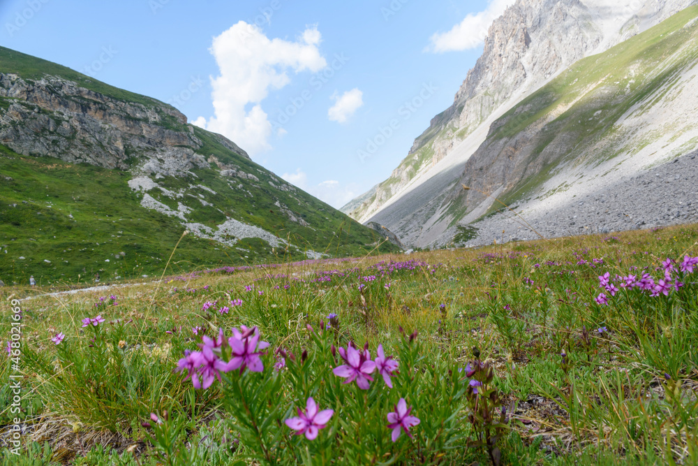 Fototapeta premium Montagne à Méribel en France-