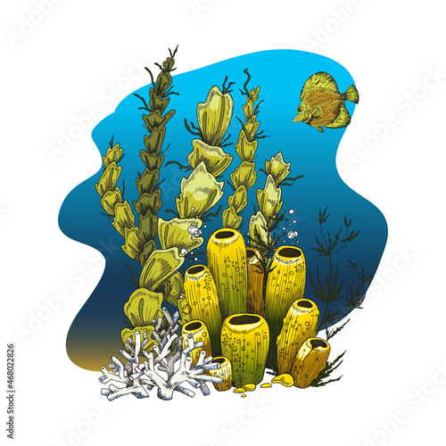 Fototapeta Naklejka Na Ścianę i Meble -  Coral reef and seaweed with yellow fish deep under sea, colored sketch vector illustration isolated on white background.