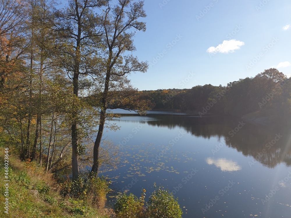Fototapeta premium The beautiful countryside by a Swedish lake