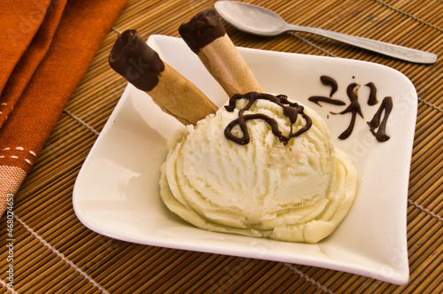 Vanilla and chocolate ice cream