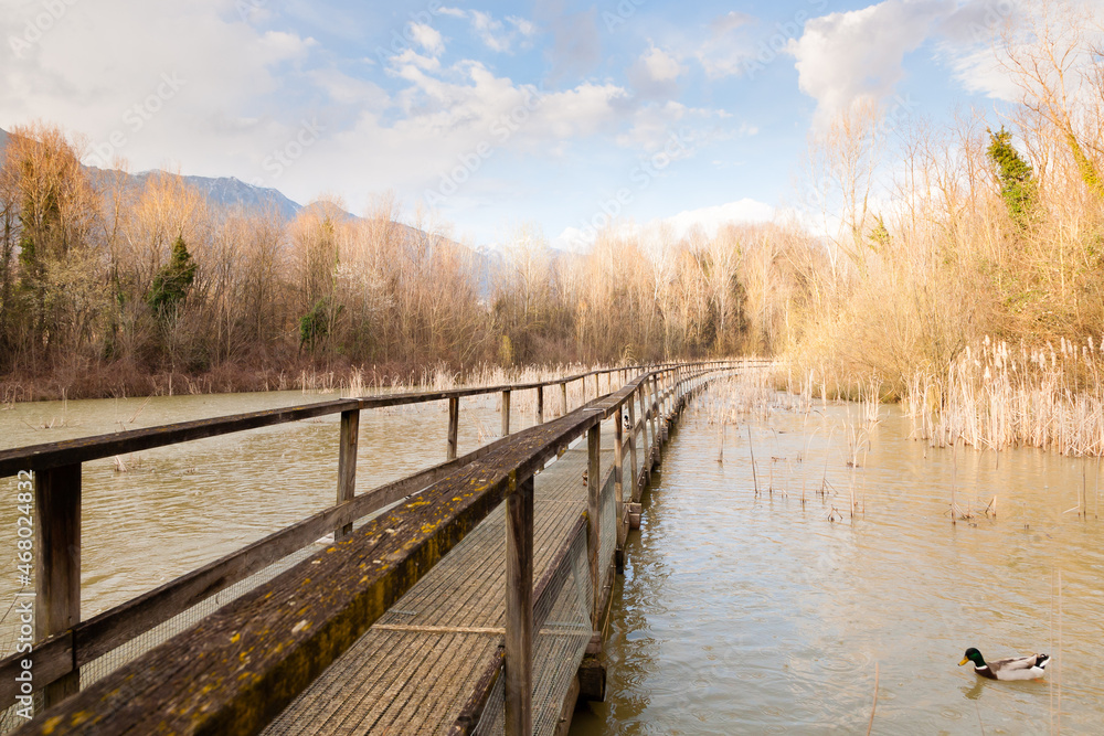 Naklejka premium Old wood footbridge on lagoon, rural landscape