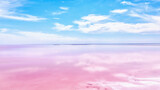 The pink water. Algae that grows in high levels of salt. Pink lake in Kherson region, Ukraine.