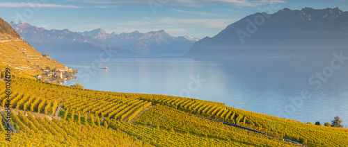 Vignoble du canton de Vaud au bord du lac Léman en Suisse
