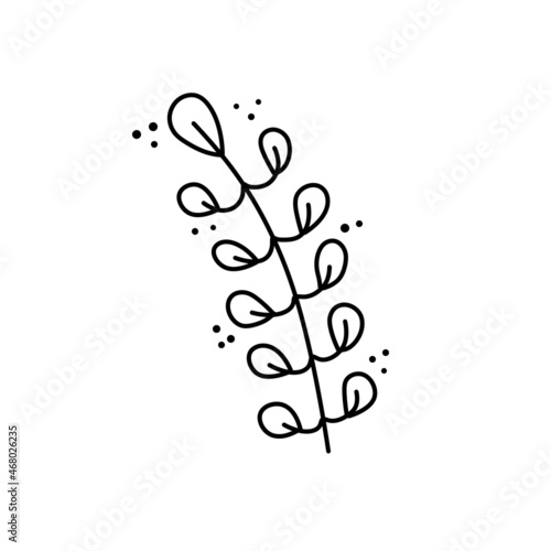 Branch of plant. Leaves in line style. Black and white natural illustration. Sketch Minimalism and simple flora.