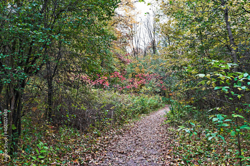 Hydrocut trails in Kitchener, Ontario, Canada. photo