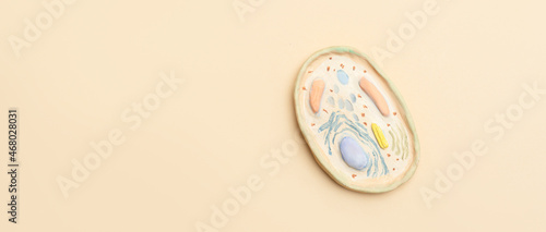Quadro em tela Human cell model on beige background