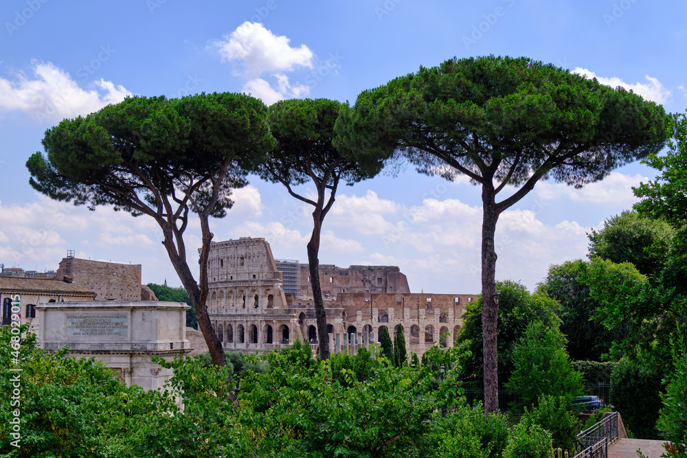 View of Colosseum through Pine trees, Rome, Italy View of Colosseum through Pine trees, Rome, Italy