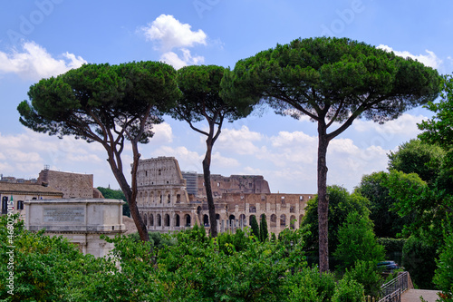 Photography View of Colosseum through Pine trees, Rome, Italy