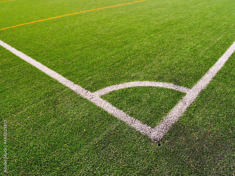 Grass detail of soccer field