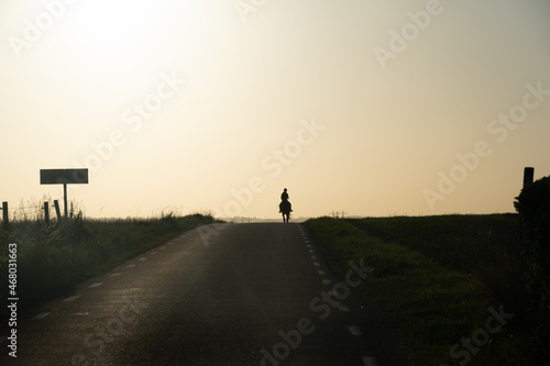 Woman riding a horse along rural road in sunset landscape in Skåne Sweden