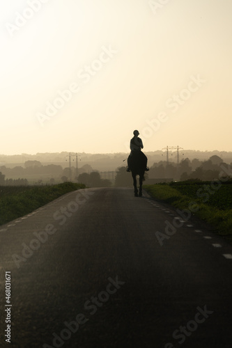 Woman riding a horse along rural road in sunset landscape in Sk  ne Sweden