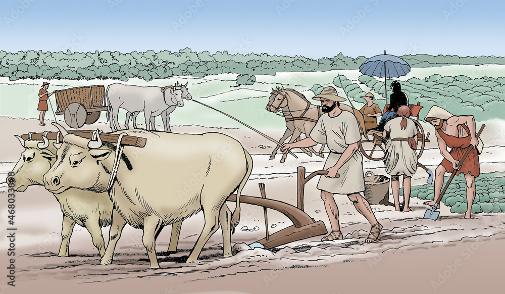 Ancient Rome - Men work in the fields with a cart pulled by oxen - obrazy, fototapety, plakaty 