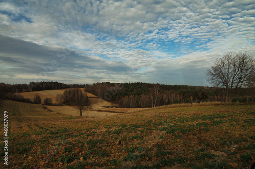 Fototapeta Naklejka Na Ścianę i Meble -  Krajobraz późnej jesieni na wschodzie europy.