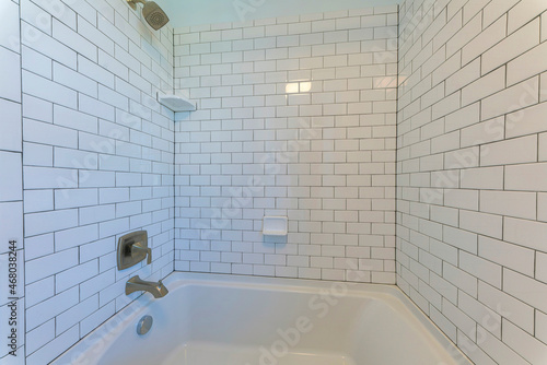 Slika na platnu Alcove bathtub with white subway tile surround with black grout