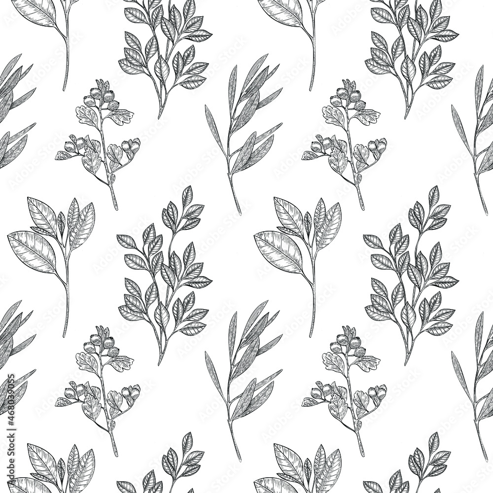 Vector seamless pattern with black outline plants, branches