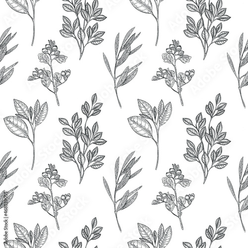Vector seamless pattern with black outline plants, branches