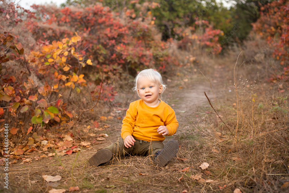 cute boy in autumn forest background with golden and red trees cute boy in autumn forest background with golden and red trees