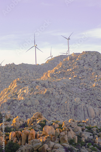 Wind Fans in La rumorosa Baja California photo