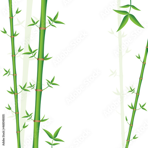 Background template with green bamboo - vector illustration