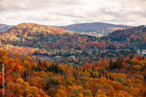 Autumn forest in the province of Quebec