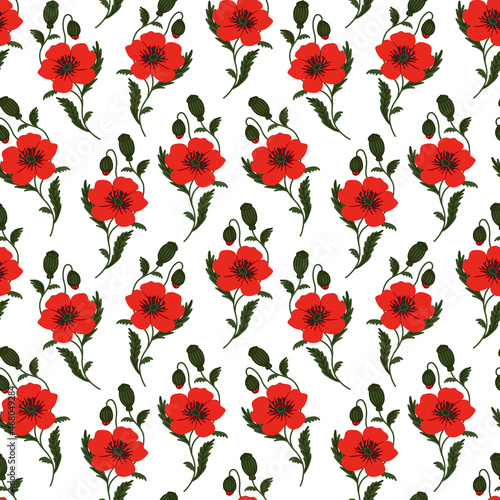 Floral Seamless Pattern. Big Red Poppy with Buds and Leaves. Hand drawn texture with Meadow Flower. Wildflower Ditsy motif. Vector background for fashion print  textile  fabric  wrapping  gift paper