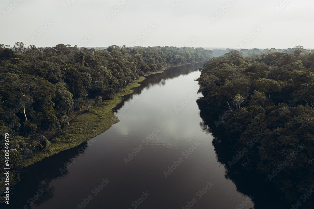 Obraz premium Riverbed and jungle.