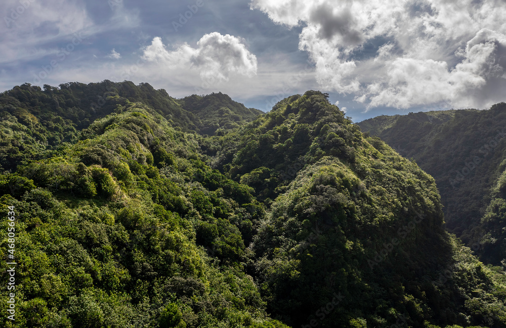 Drone shot aerial view of the mountains in Tahiti, French Polynesia
