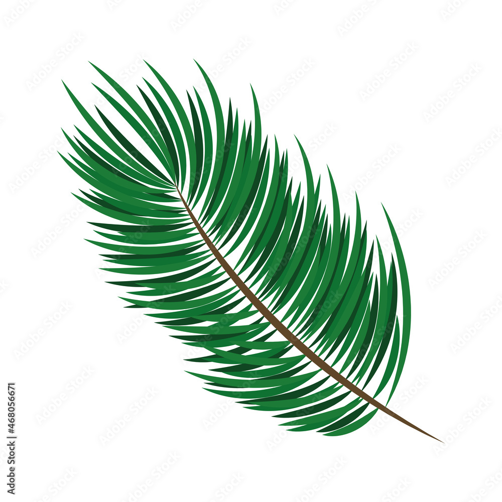 Fototapeta premium nature green plant