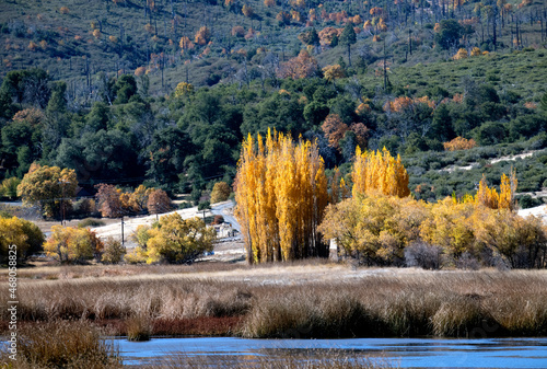 Fall colors in the mountains near Lake Cuyamaca in San Diego county photo