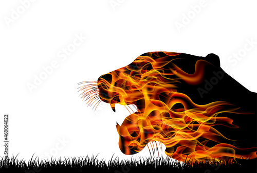 寅　年賀状　炎　背景