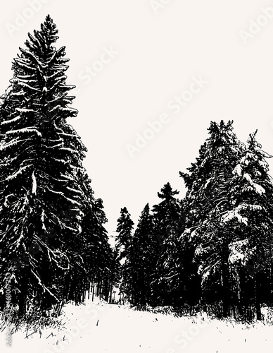 Vector hand drawn illustration of winter landscape . Template for card, poster, banner, print for t-shirt, pin, badge, patch.