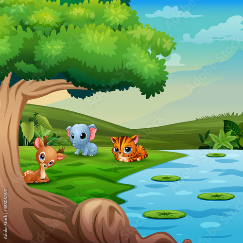 Cute baby wild animals playing by the river