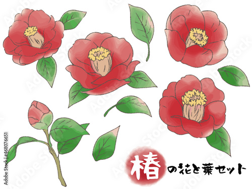 手描き風椿の花と葉セット_主線あり