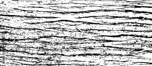 Cedar tree bark texture