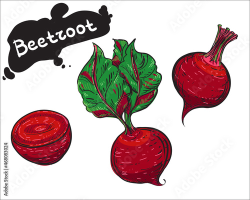 Hand drawn sketch black and color set of beetroot, leaf. Vector illustration. Elements in graphic style label, card, sticker, menu, package. Engraved style