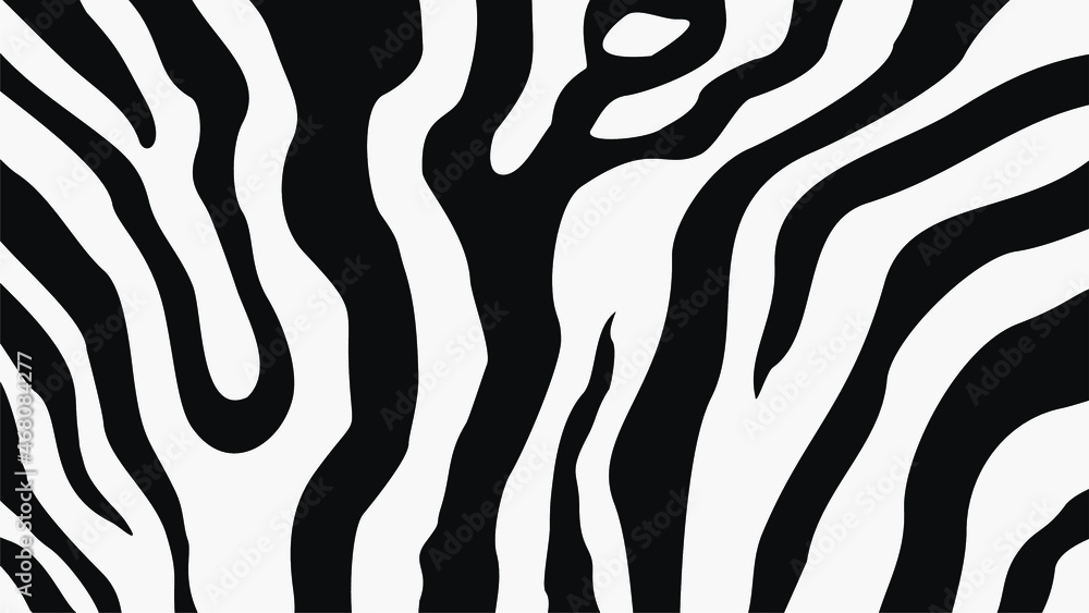 Zebra skin pattern vector background. Hand drawn vector illustration. Animal skin pattern vector for any graphic design use, wallpaper, fabric or textile, and rug Zebra skin pattern vector background. Hand drawn vector illustration. Animal skin pattern vector for any graphic design use, wallpaper, fabric or textile, and rug