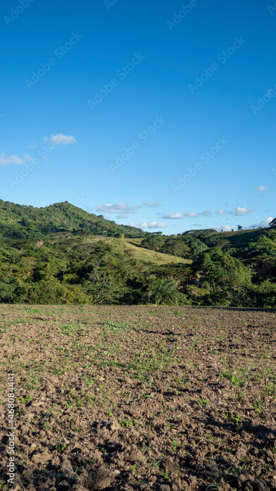 Fototapeta premium landscape with mountains