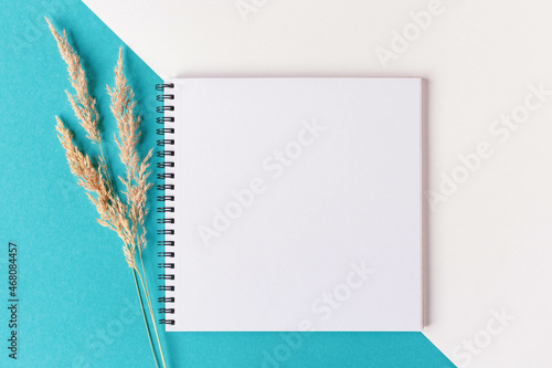 top view of an open notebook with blank pages next to a cup of coffee for adding text or layout