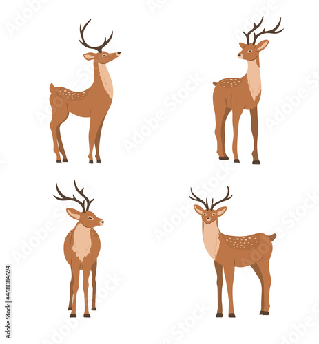 Cute noble sika deer. Set of reindeers with antlers in different poses isolated on white background. Ruminant mammal animal. Vector illustration in flat cartoon style.